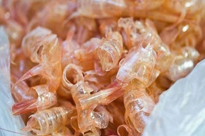 Camarón sin desperdicio: champú de cascaras de camarón